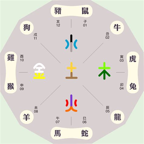 12地支五行|地支